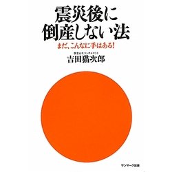 震災後に倒産しない法―まだ、こんなに手はある! [単行本]