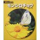モンシロチョウ 新装版 (科学のアルバム) [全集叢書]