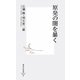 原発の闇を暴く(集英社新書) [新書]