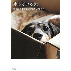 ヨドバシ Com 待っている犬 東日本大震災で被災した犬猫たち 単行本 通販 全品無料配達