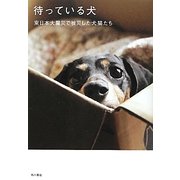 待っている犬―東日本大震災で被災した犬猫たち [単行本]
