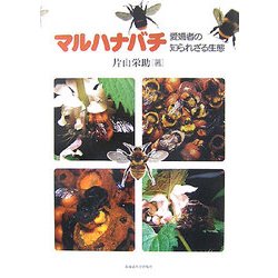 マルハナバチ―愛嬌者の知られざる生態 [単行本]