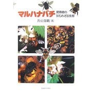 マルハナバチ―愛嬌者の知られざる生態 [単行本]