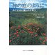 神の庭のように―みことばに養われて育つ [単行本]