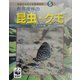 熱帯雨林の昆虫・クモ(地球をささえる熱帯雨林〈5〉) [ムックその他]