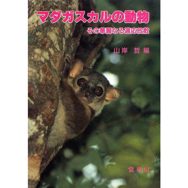 マダガスカルの動物―その華麗なる適応放散 [単行本]