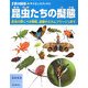 昆虫たちの擬態―昆虫の驚くべき戦略、威嚇からカムフラージュまで(子供の科学サイエンスブックス) [全集叢書]