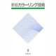 カラーリング技術 新版