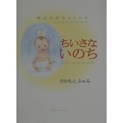 ちいさないのち―窓辺の赤ちゃんたち [絵本]