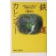 鉄道カレンダー―全国とことん楽しむ行動案内12ヵ月(講談社プラスアルファ新書) [新書]