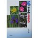 花ごよみ365 [単行本]