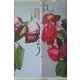 乳房、花なり。 [単行本]