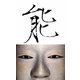 能 改訂版 [単行本]
