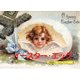 イースター・エッグ―A Souvenir Postcard Book(京都書院アーツコレクション) [文庫]