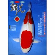 鱗光 2000 1 [単行本]