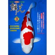 鱗光 2000年3月号 [単行本]