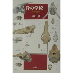 骨の学校〈2〉沖縄放浪篇 [単行本]