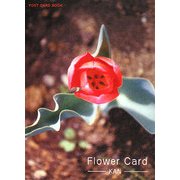 Flower Card [文庫]