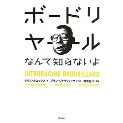 ボードリヤールなんて知らないよ [単行本]