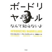ボードリヤールなんて知らないよ [単行本]