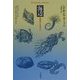 海辺―生命のふるさと(平凡社ライブラリー) [全集叢書]