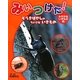 みいつけた!みぢかないきもの〈3〉ぞうきばやしのちいさないきもの [単行本]