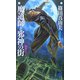 魔道師と邪神の街 魔都トリノ―龍の黙示録(ノン・ノベル) [新書]
