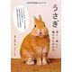 うさぎ―長く、楽しく暮らすための本(もっとわかる動物のことシリーズ) [単行本]
