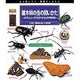 雑木林の虫の飼いかた―カブトムシ・クワガタ・オオムラサキほか(虫の飼いかた・観察のしかた〈5〉) [事典辞典]