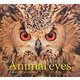 Animal eyes [単行本]