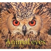Animal eyes [単行本]