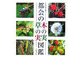 都会の木の実・草の実図鑑 [図鑑]