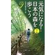 カラー版 元気になる!日本の森を歩こう(COLOR新書y) [新書]