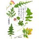 「ありがとう」と「さようなら」の旅立ち―いちばん好きな場所で人生を終える [単行本]
