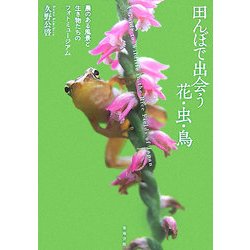 田んぼで出会う花・虫・鳥―農のある風景と生き物たちのフォトミュージアム [図鑑]