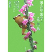 田んぼで出会う花・虫・鳥―農のある風景と生き物たちのフォトミュージアム [図鑑]