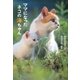 ママになったネコの海(カイ)ちゃん(ポプラ文庫) [文庫]