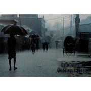 Asian Blue [単行本]