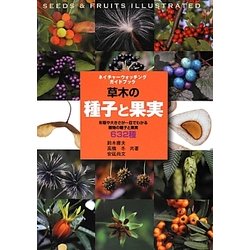 草木の種子と果実―形態や大きさが一目でわかる植物の種子と果実632種(ネイチャーウォッチングガイドブック) [図鑑]