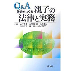 Q&A 離婚をめぐる親子の法律と実務 [単行本]