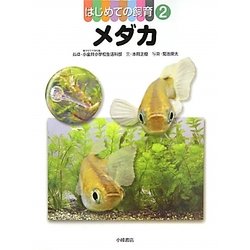 はじめての飼育〈2〉メダカ [全集叢書]