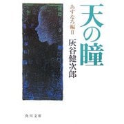 天の瞳―あすなろ編〈2〉(角川文庫) [文庫]