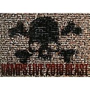 VAMPS LIVE 2010 BEAST [単行本]