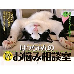 はっちゃんのなんでもお悩み相談室 [単行本]
