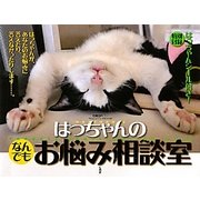 はっちゃんのなんでもお悩み相談室 [単行本]