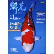 鱗光 2004年11月号 [単行本]