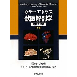 カラーアトラス 獣医解剖学 下巻 ヨドバシ.com - カラーアトラス獣医解剖学〈下巻〉 増補改訂版