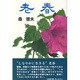老春 [単行本]
