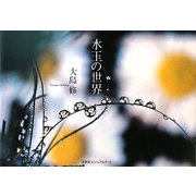 水玉の世界 [単行本]