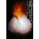 素顔は見せないで(ヴィレッジブックス) [文庫]